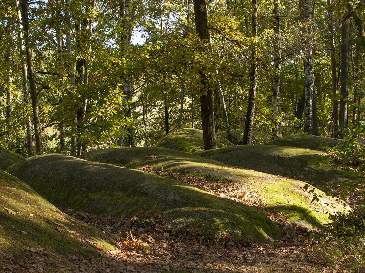 Granitblöcke